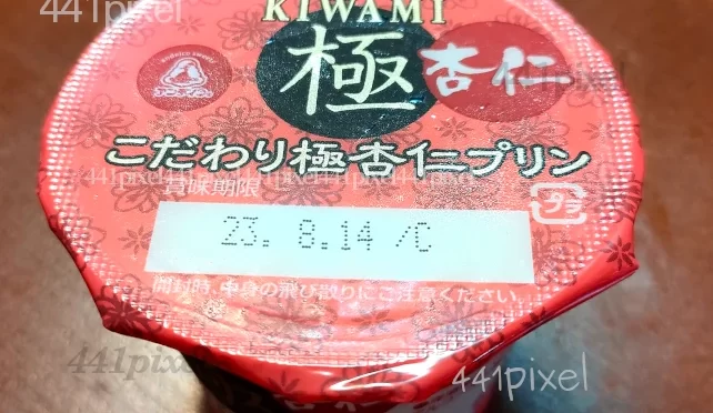 95kcalアンデイコのこだわり極杏仁プリンを食す。95点